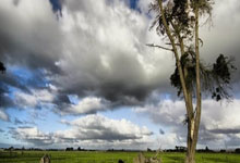 开云体育在线-钢铁防线瓦解！深圳队客场逆袭背后的齿轮如何精密咬合