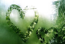 开云体育在线-冠军闪耀登场，成为焦点