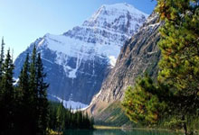 开云体育官方网站-锡耶纳在主场对阵利物浦：追求胜利的备战策略详解