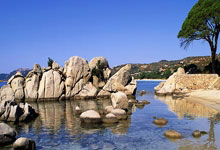 开云体育官网-帕尔梅拉斯全力备战世俱杯，冲击冠军信心十足