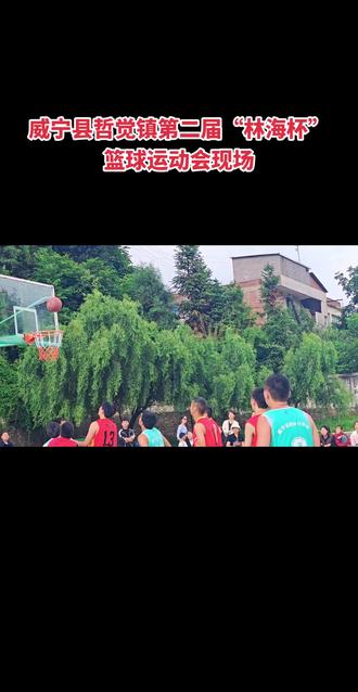 包含精彩剧情连连，篮球大赛精彩不断的词条