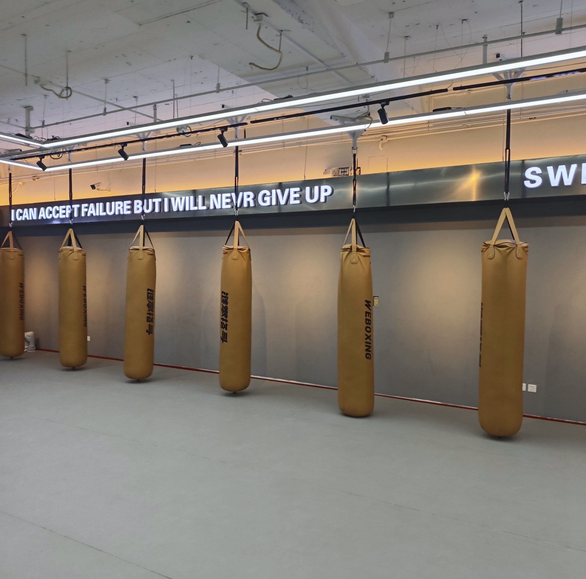 德国拳击新秀惊艳表现，轻松进入半决赛的简单介绍