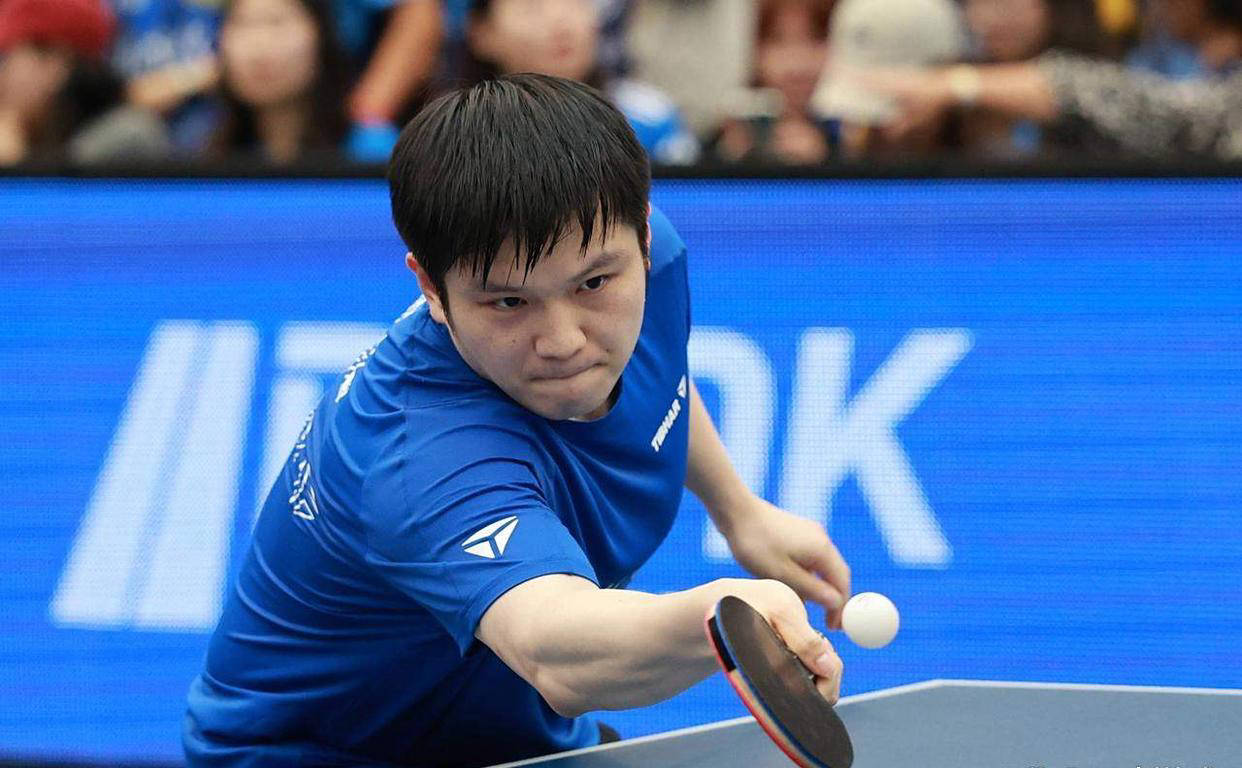 开云体育入口-中国乒乓球队绝杀波兰乒乓球队，樊振东爆发神勇的简单介绍