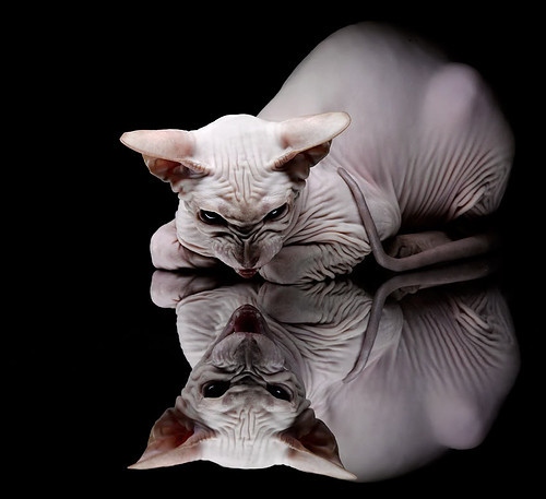 开云平台-姆巴佩璀璨星光耀绿茵，牙买加巅峰逆袭胜乌拉圭