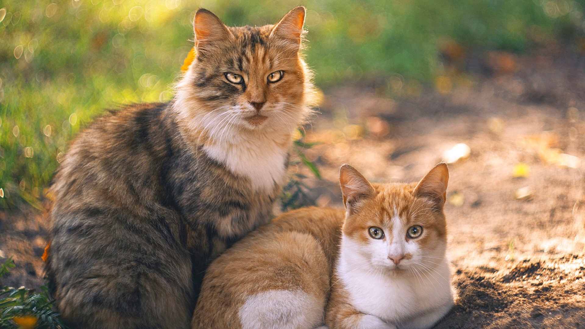 铁壁对轰天山,莫兰特化身关键先生,山西队战术奏响晋疆对决最强音