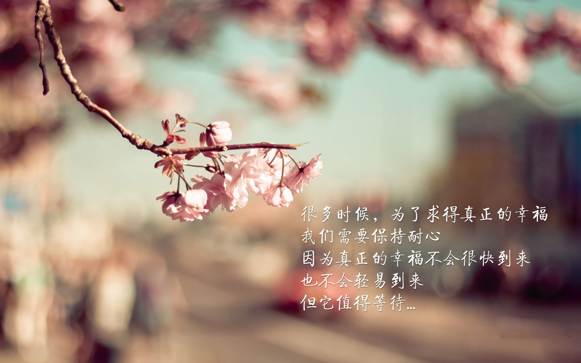 开云体育中国-当东部决赛的硝烟弥漫绿茵场，皇家社会用足球智慧书写压制英格兰的方程式