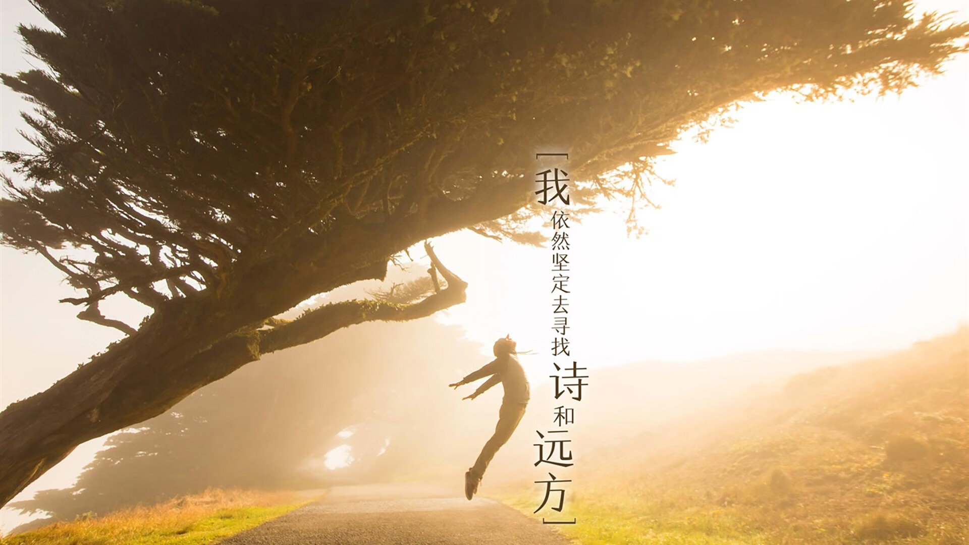 冰与火的终极交响，当骑士的铁骑踏破爵士的铜墙铁壁