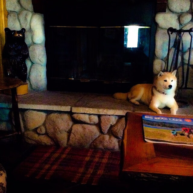 开云体育登录-北京队对阵雄鹿，切特·霍姆格伦展现巨星价值