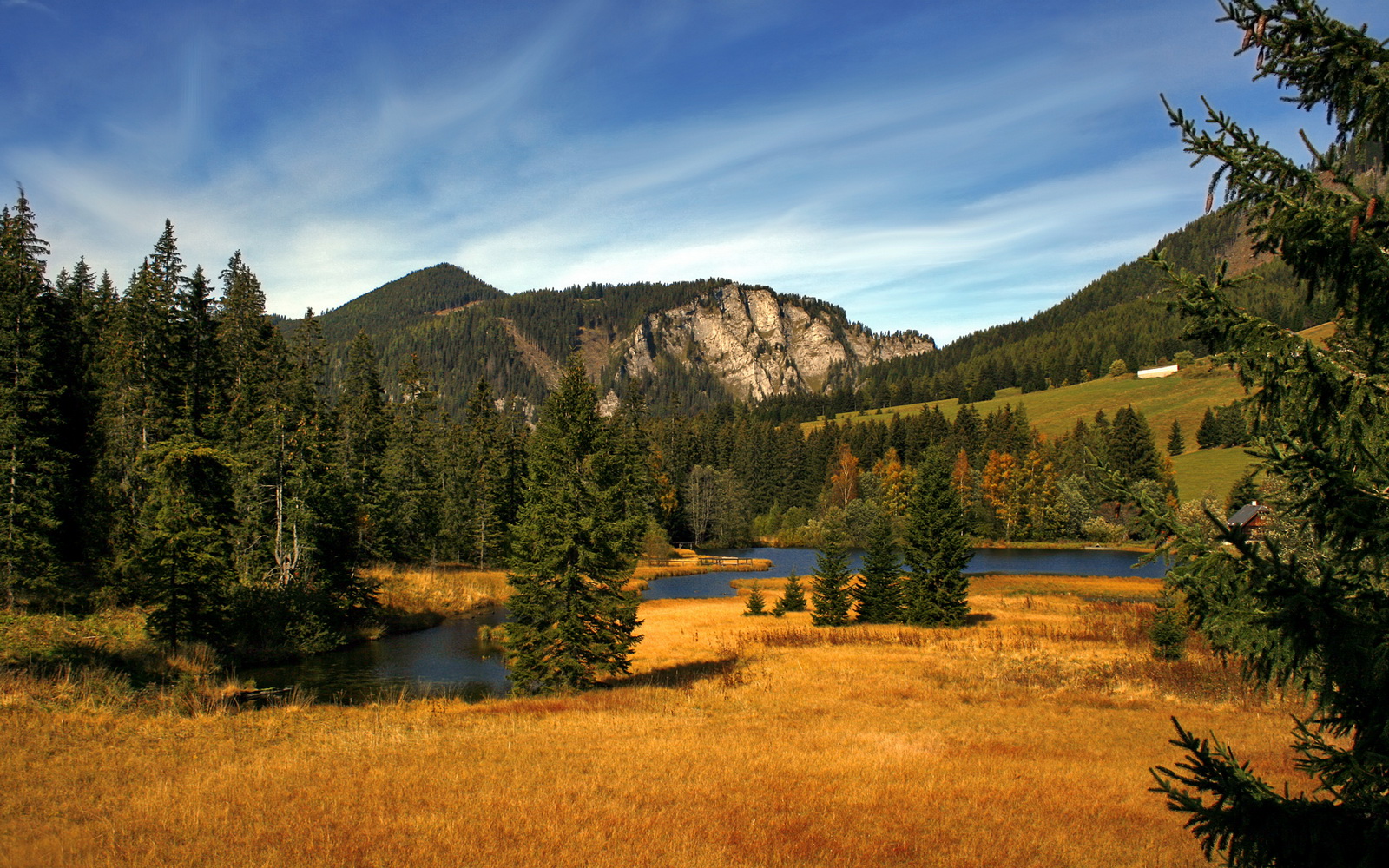 东契奇闪耀世界排名争夺战之夜，关键节点连续得分铸就传奇