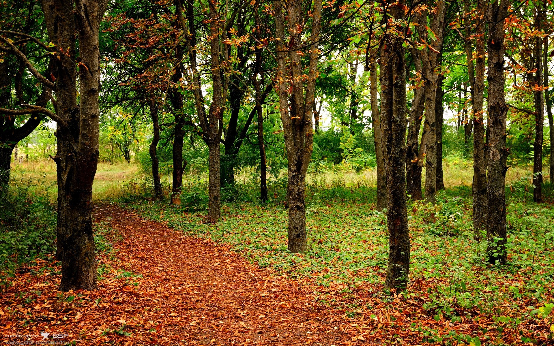 险境铸英雄,阿圭罗末节绝杀,玻利维亚撕裂牙买加防线