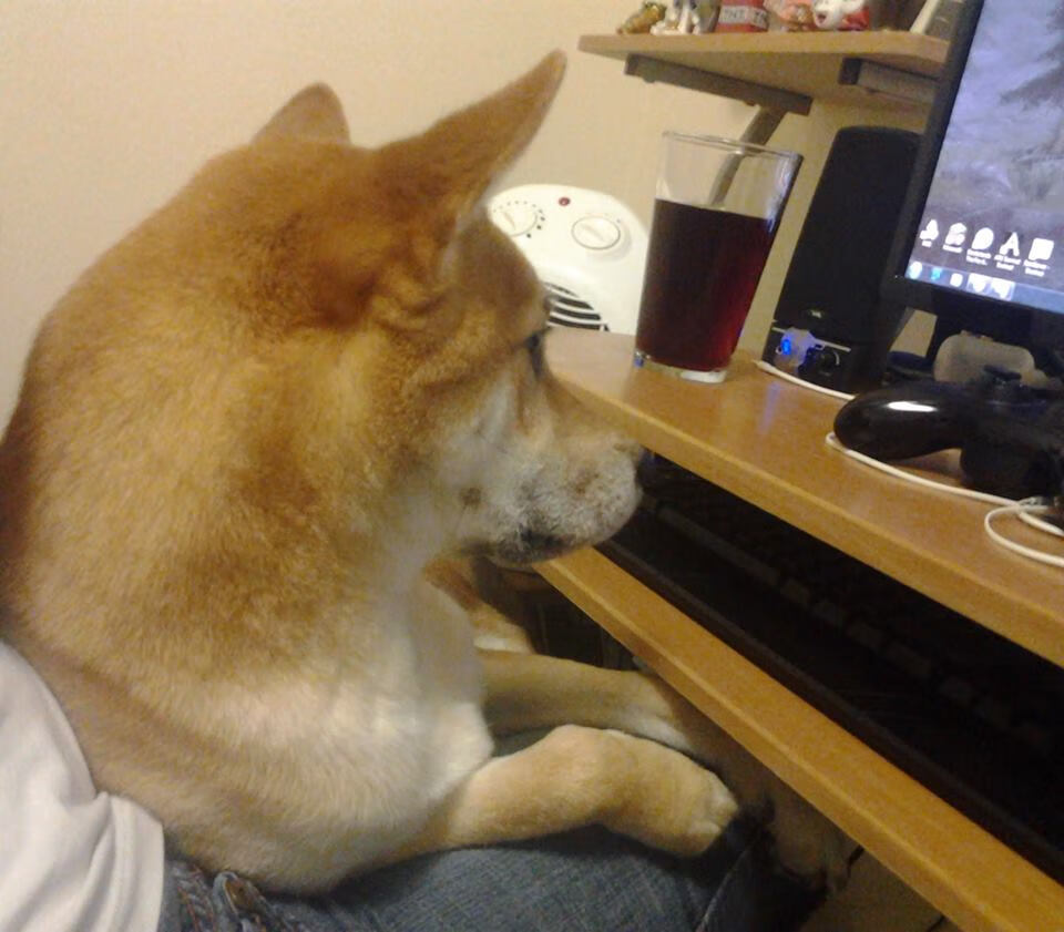 开云体育官网-铁壁与洪流，范戴克的千分钟传奇与皇家社会的欧战宣言