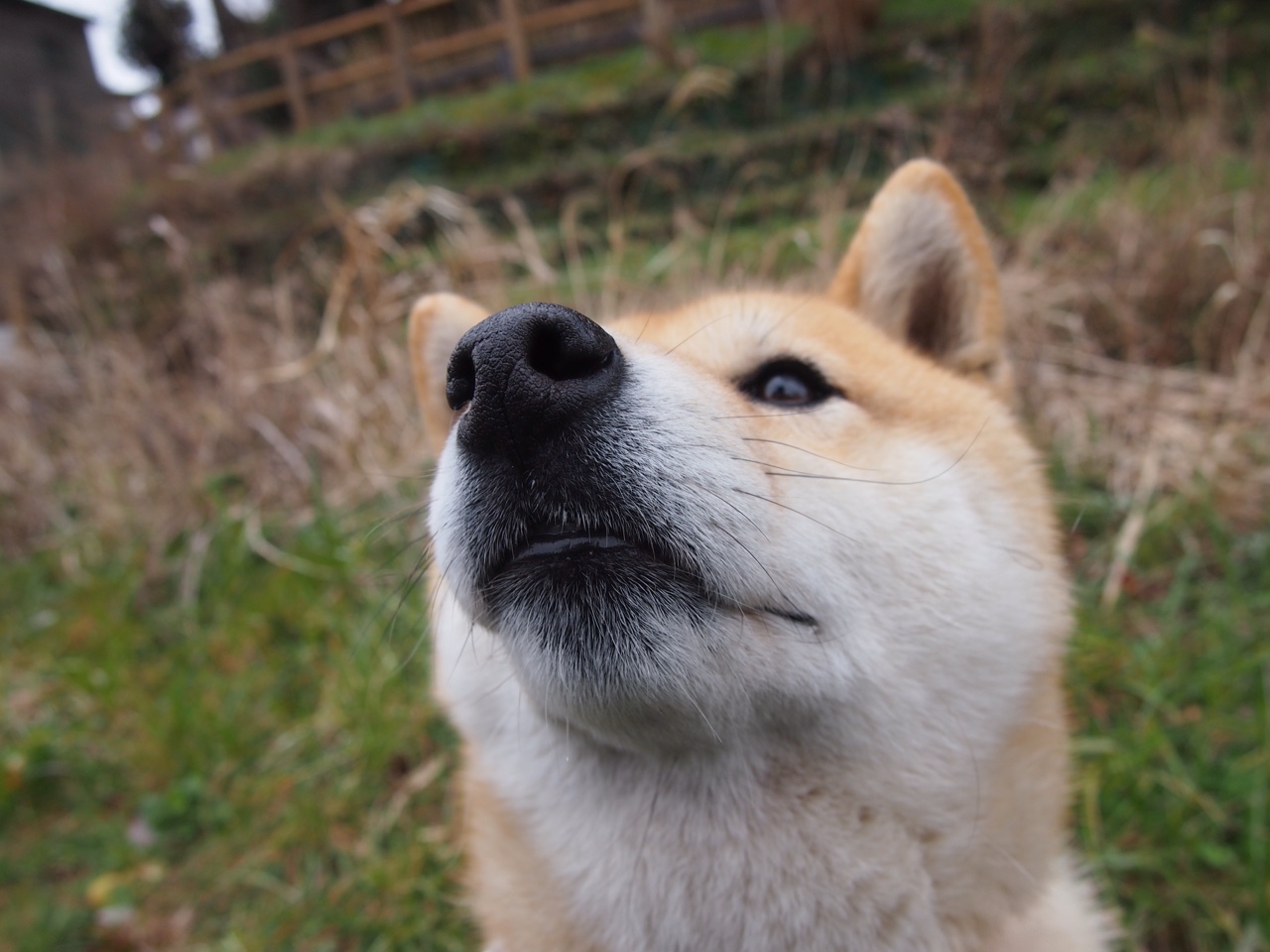 开云体育官网-北欧冰川遇阿尔卑斯风暴，富安健洋一锤定音