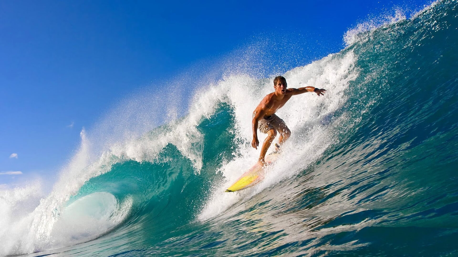 德甲争冠焦点战与吉林队终结深圳队，体育世界中的决胜时刻