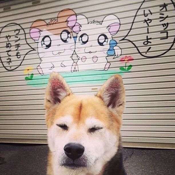 开云体育APP下载-佩德里爆发与国际米兰战术压制沙特，现代足球的战术维度与个体光芒