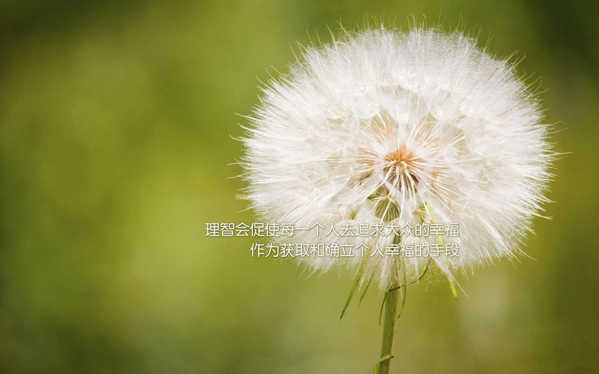 开云体育-佩德里刷新纪录闪耀友谊赛，尤文图斯与洪都拉斯的精彩对决