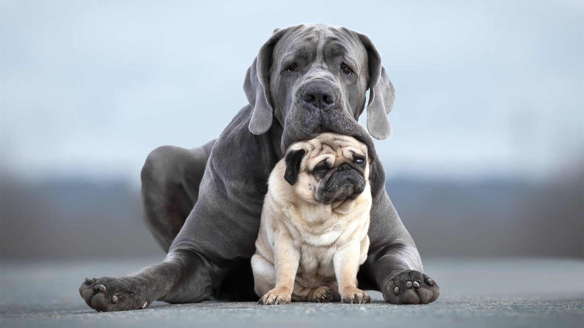 开云体育中国-硬仗定义英雄，从浙江的血性到欧文的锋芒，竞技体育的不朽法则