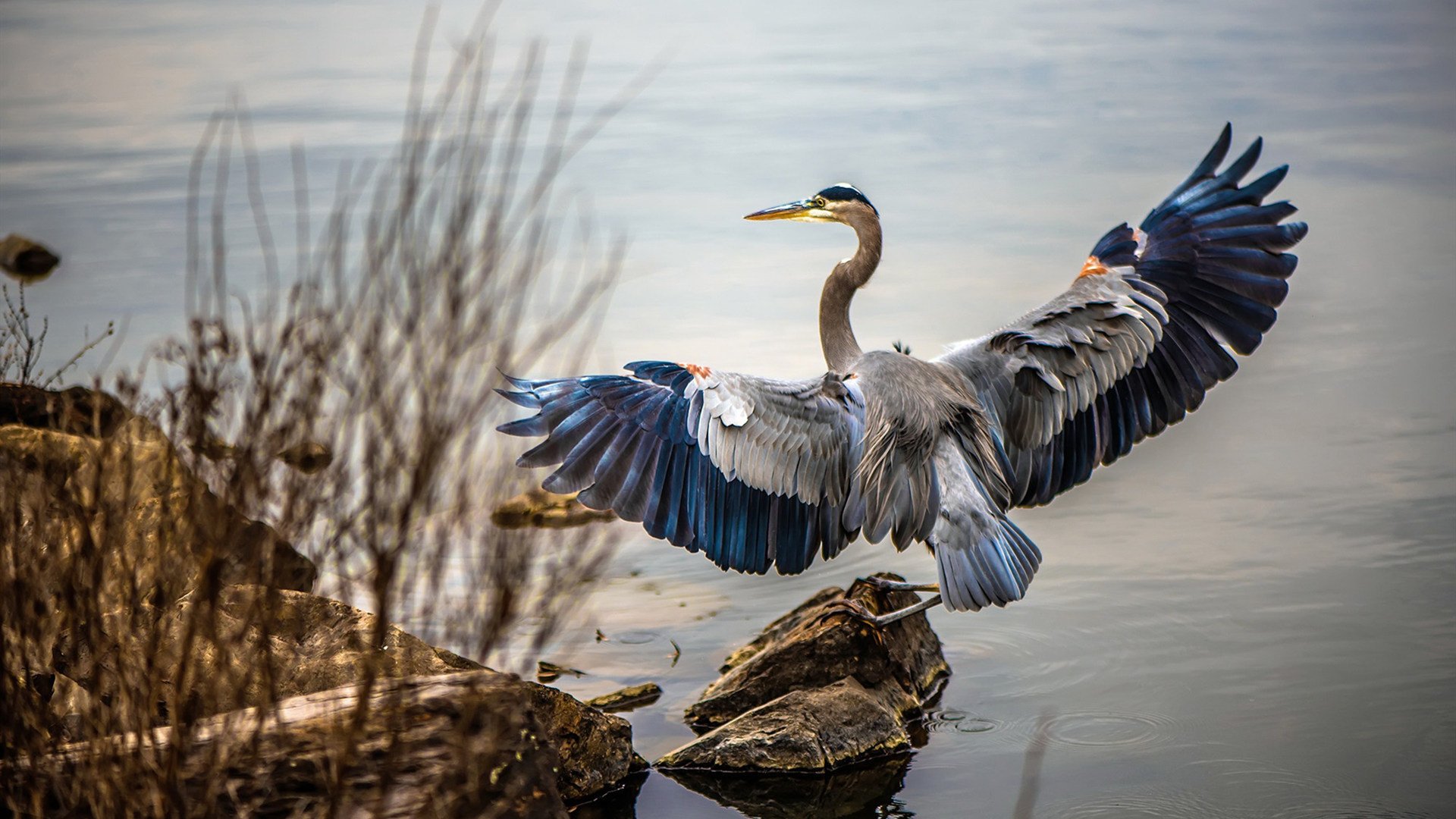 开云体育官方网站-绿茵门神，库尔图瓦一夫当关，哥伦比亚狂攻无果