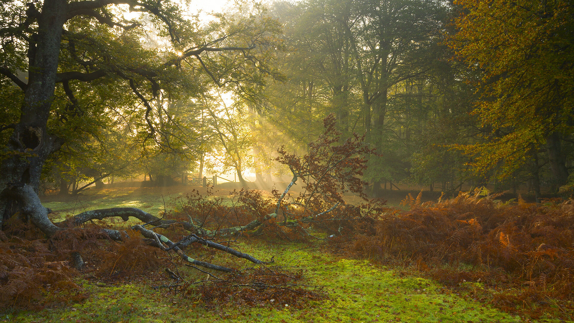 开云体育APP下载-险胜与担当，足球世界里的偶然英雄与必然巨星