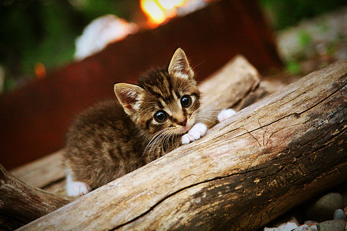 开云平台-35分+绝杀！马克西成关键先生，山西男篮惊险逆转太阳