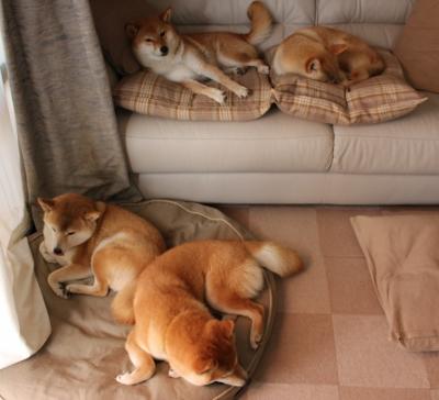 开云体育登录-聚光灯下的血脉贲张，美加墨之夜，巴雷拉一球定乾坤