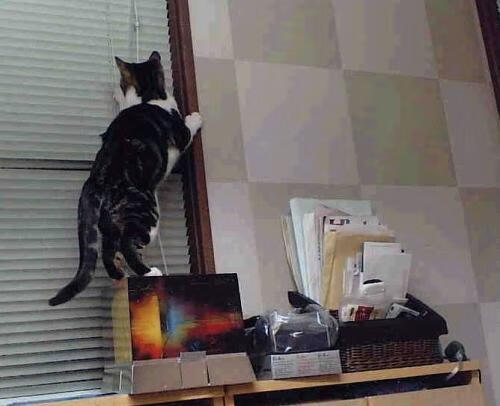 开云体育app-冰与火的较量，迪马利亚压哨绝杀，冰岛神奇逆转美国