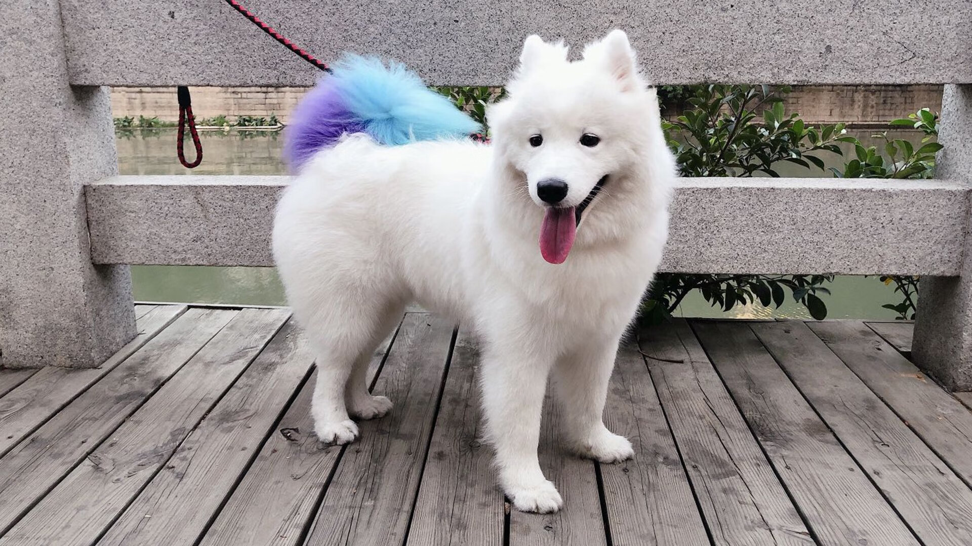 亚特兰大用连续得分写就压制诗篇，迪巴拉硬仗烙印王者之名