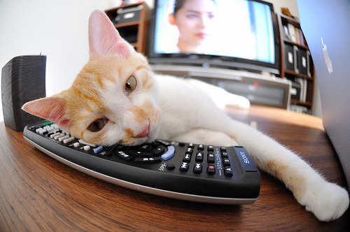 克莱致命三分破质疑，深圳横扫吉林显霸气