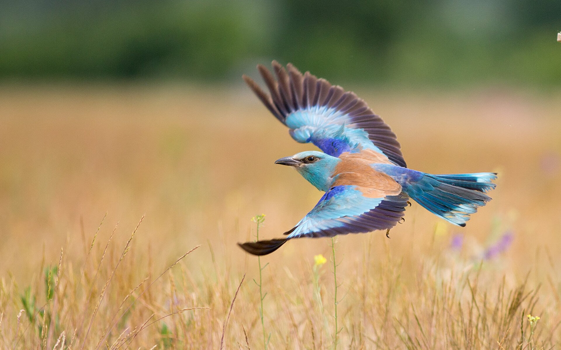 决胜与接管，卡塔尔坚毅登顶，哈兰德定义新时代