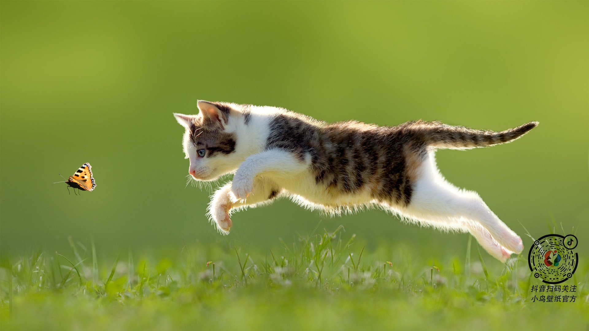 开云体育官网-墨西哥对阵皇马，德布劳内的绿茵教科书